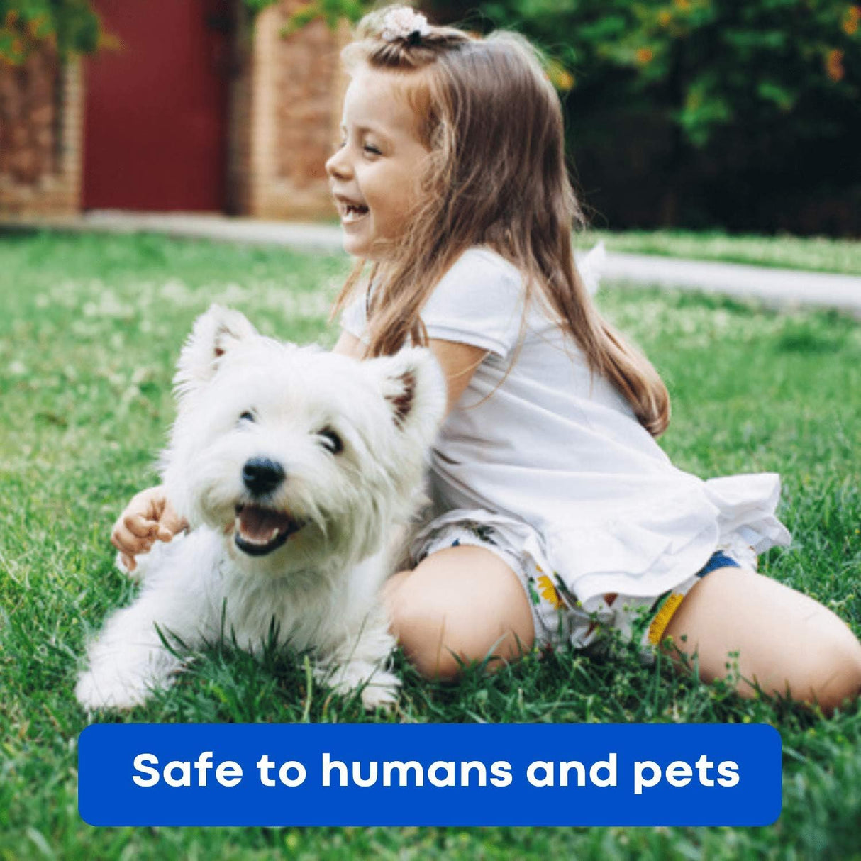 Dust Mite Controllers - Safe To Humans And Pets